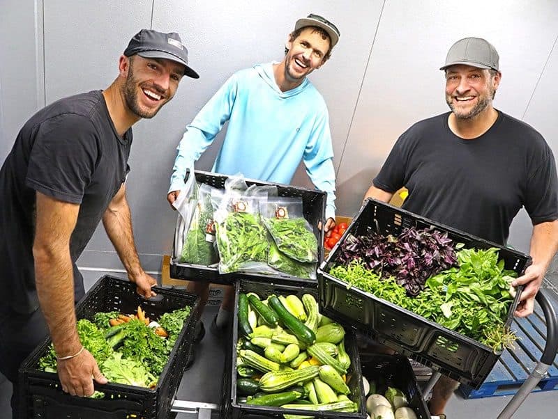 Three men behind crates of fresh greens and zucchini in a food-pantry warehouse, laughing