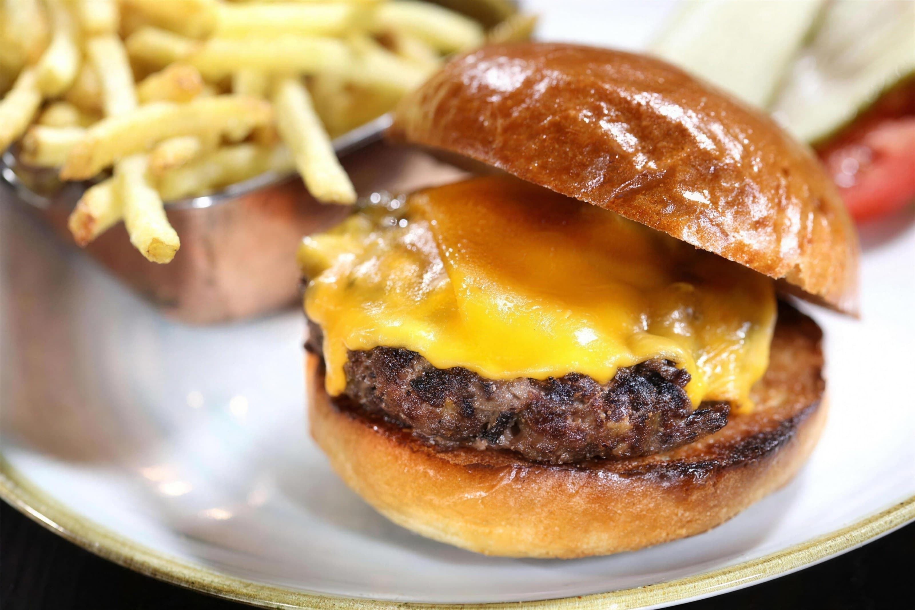 Cheeseburger on a brioche bun with shoestring fries, shallow focus, bright
