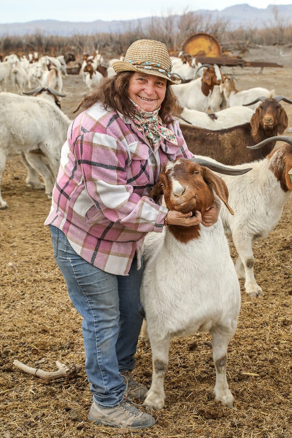 Goat farmer in a straw hat hugging a Boer goat among the herd, desert ranch